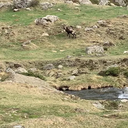 Сasa de vacaciones Maison De Montagne Auzat