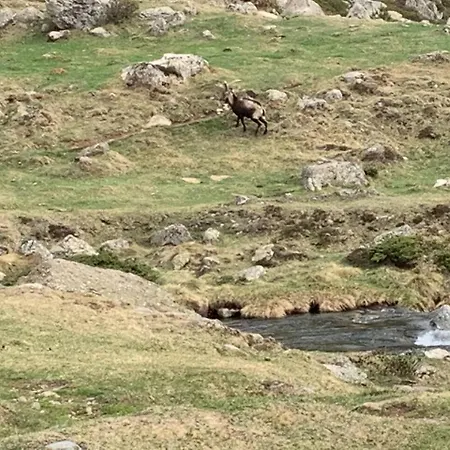 Nyaraló Maison De Montagne Auzat