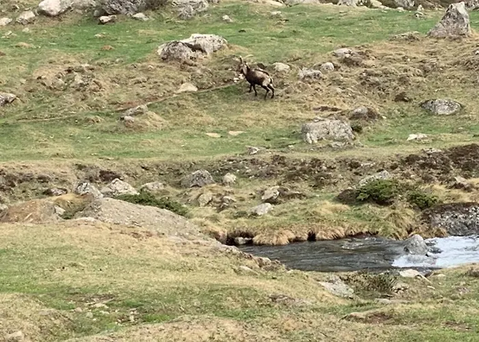 Nyaraló Maison De Montagne Auzat